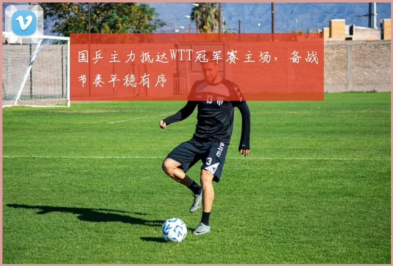 国乒主力抵达WTT冠军赛主场，备战节奏平稳有序