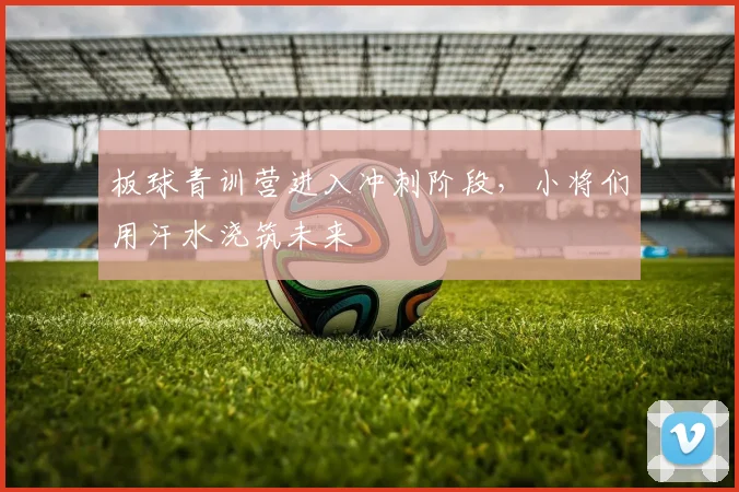 板球青训营进入冲刺阶段，小将们用汗水浇筑未来