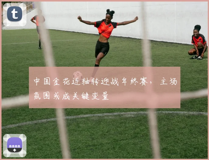 中国金花连轴转迎战年终赛，主场氛围或成关键变量